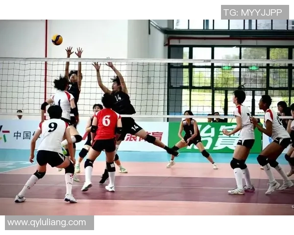 上海排球队在全国排球力量排行榜中荣获第四名的佳绩分析