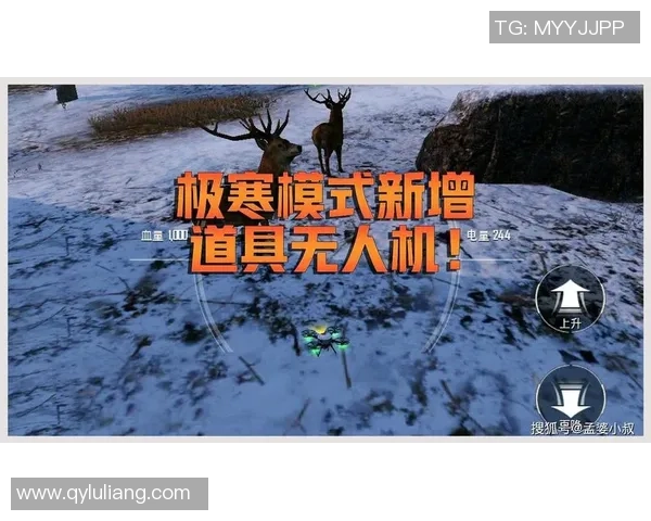 和平精英V5赛季边路渗透策略解析与实战应用探讨 和平精英V5赛季边路渗透策略解析与实战应用探讨