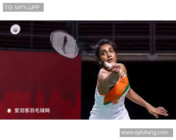 武汉羽毛球队实力解析：从训练到比赛的全面剖析与展望