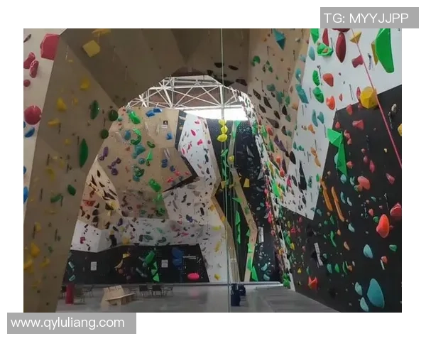 武汉攀岩队实力强劲荣获全国攀岩力量排行榜第三名殊荣